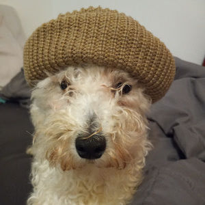 Meet your Posher, Karla